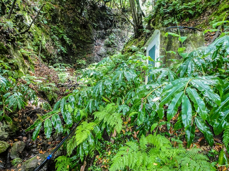 13.07.2018 Abschlusswanderung auf dem unglaublich grünen Unterlauf der Levada das Faias — Der zweite Niveauübergang — Foto 5