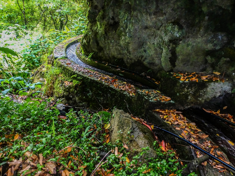13.07.2018 Abschlusswanderung auf dem unglaublich grünen Unterlauf der Levada das Faias — Weiter etwas ausgesetzt zum dritten Niveauübergang — Foto 1
