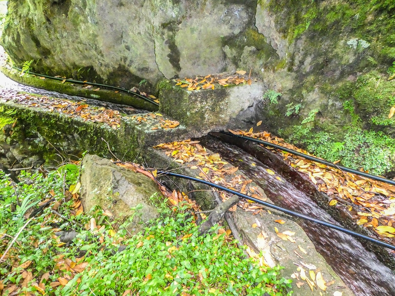 13.07.2018 Abschlusswanderung auf dem unglaublich grünen Unterlauf der Levada das Faias — Weiter etwas ausgesetzt zum dritten Niveauübergang — Foto 2