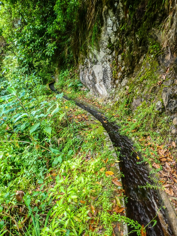 13.07.2018 Abschlusswanderung auf dem unglaublich grünen Unterlauf der Levada das Faias — Weiter etwas ausgesetzt zum dritten Niveauübergang — Foto 3