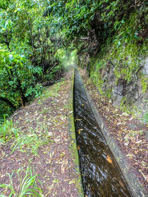 13.07.2018 Abschlusswanderung auf dem unglaublich grünen Unterlauf der Levada das Faias — Weiter etwas ausgesetzt zum dritten Niveauübergang — Foto 4