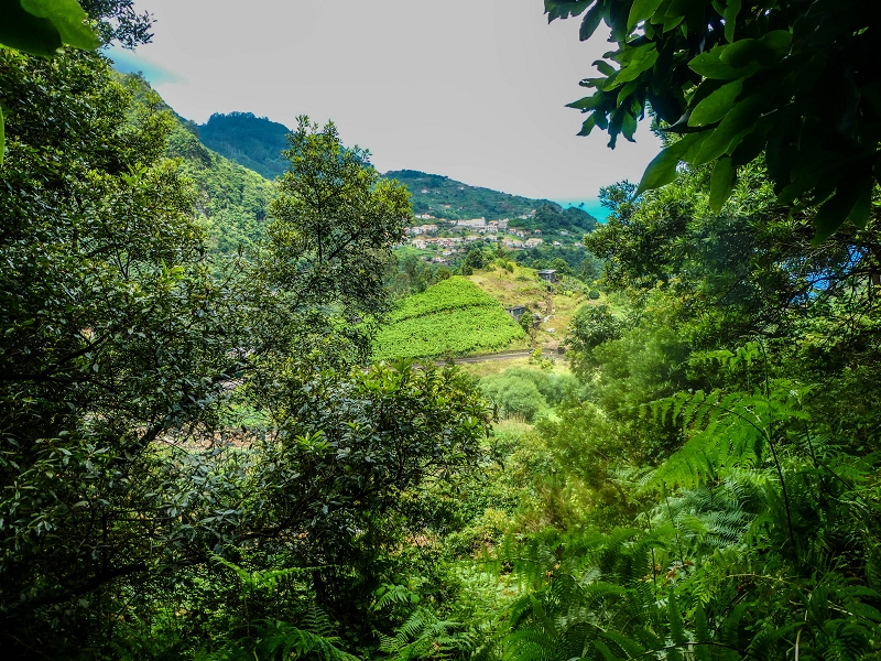 13.07.2018 Abschlusswanderung auf dem unglaublich grünen Unterlauf der Levada das Faias — Weiter zum vierten Niveauübergang (Wasserfall) — Foto 2