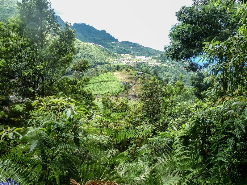 13.07.2018 Abschlusswanderung auf dem unglaublich grünen Unterlauf der Levada das Faias — Weiter zum vierten Niveauübergang (Wasserfall) — Foto 3