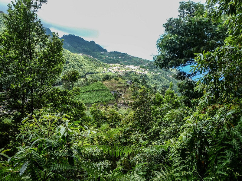 13.07.2018 Abschlusswanderung auf dem unglaublich grünen Unterlauf der Levada das Faias — Weiter zum vierten Niveauübergang (Wasserfall) — Foto 4