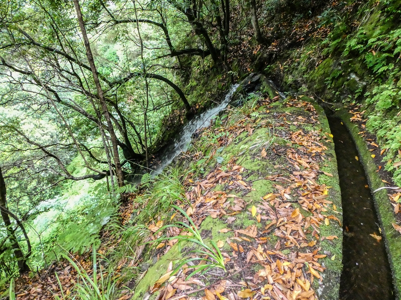 13.07.2018 Abschlusswanderung auf dem unglaublich grünen Unterlauf der Levada das Faias — Weiter zum vierten Niveauübergang (Wasserfall) — Foto 6