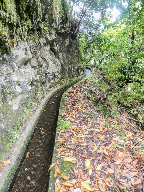 13.07.2018 Abschlusswanderung auf dem unglaublich grünen Unterlauf der Levada das Faias — Weiter zum vierten Niveauübergang (Wasserfall) — Foto 8