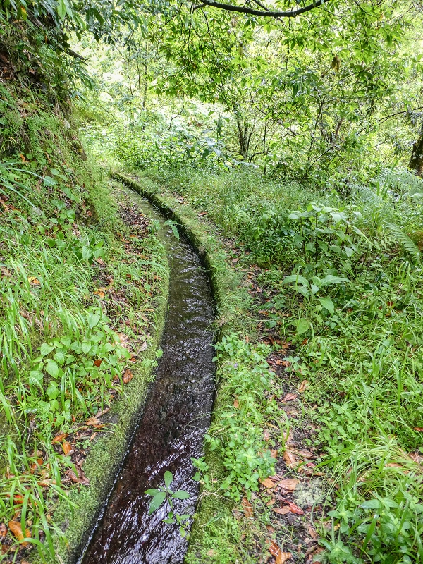 13.07.2018 Abschlusswanderung auf dem unglaublich grünen Unterlauf der Levada das Faias — Bis oberhalb des ersten Niveauüberganges — Foto 6
