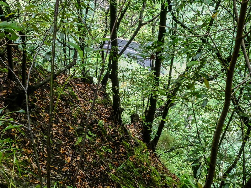 13.07.2018 Abschlusswanderung auf dem unglaublich grünen Unterlauf der Levada das Faias — Weiter zum vierten Niveauübergang (Wasserfall) — Foto 9