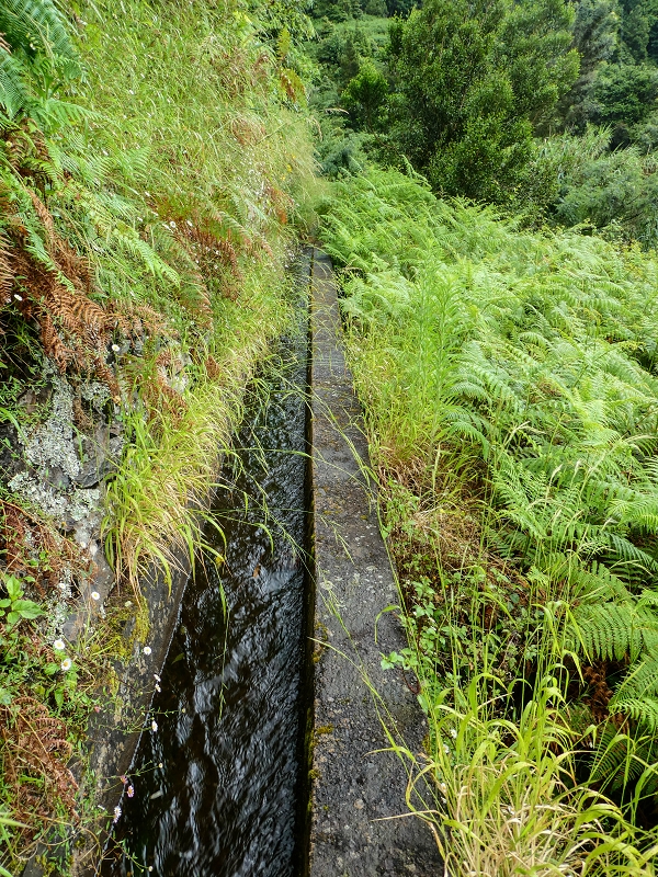 13.07.2018 Abschlusswanderung auf dem unglaublich grünen Unterlauf der Levada das Faias — Weiter etwas ausgesetzt zum dritten Niveauübergang — Foto 14