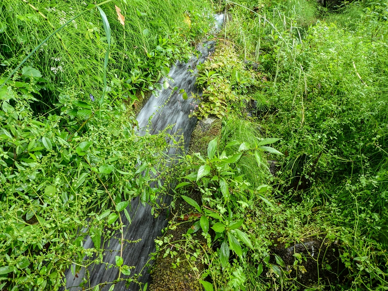 13.07.2018 Abschlusswanderung auf dem unglaublich grünen Unterlauf der Levada das Faias — Weiter etwas ausgesetzt zum dritten Niveauübergang — Foto 16