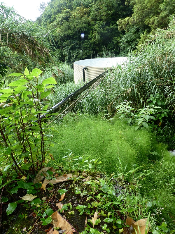 13.07.2018 Abschlusswanderung auf dem unglaublich grünen Unterlauf der Levada das Faias — Weiter etwas ausgesetzt zum dritten Niveauübergang — Foto 18