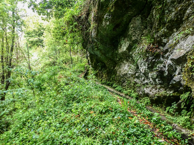 13.07.2018 Abschlusswanderung auf dem unglaublich grünen Unterlauf der Levada das Faias — Bis oberhalb des ersten Niveauüberganges — Foto 7