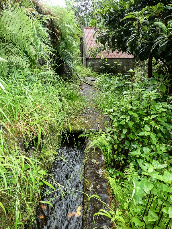 13.07.2018 Abschlusswanderung auf dem unglaublich grünen Unterlauf der Levada das Faias — Weiter etwas ausgesetzt zum dritten Niveauübergang — Foto 5