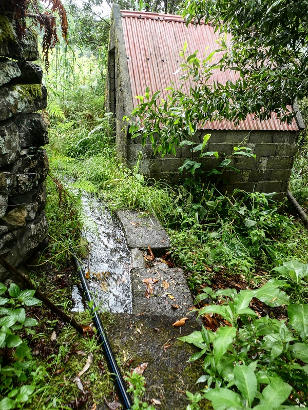 13.07.2018 Abschlusswanderung auf dem unglaublich grünen Unterlauf der Levada das Faias — Weiter etwas ausgesetzt zum dritten Niveauübergang — Foto 6