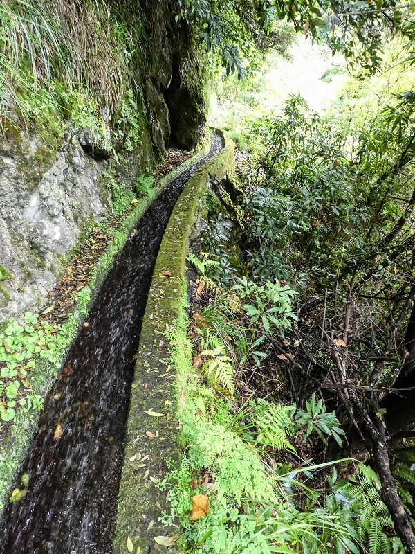13.07.2018 Abschlusswanderung auf dem unglaublich grünen Unterlauf der Levada das Faias — Weiter etwas ausgesetzt zum dritten Niveauübergang — Foto 8