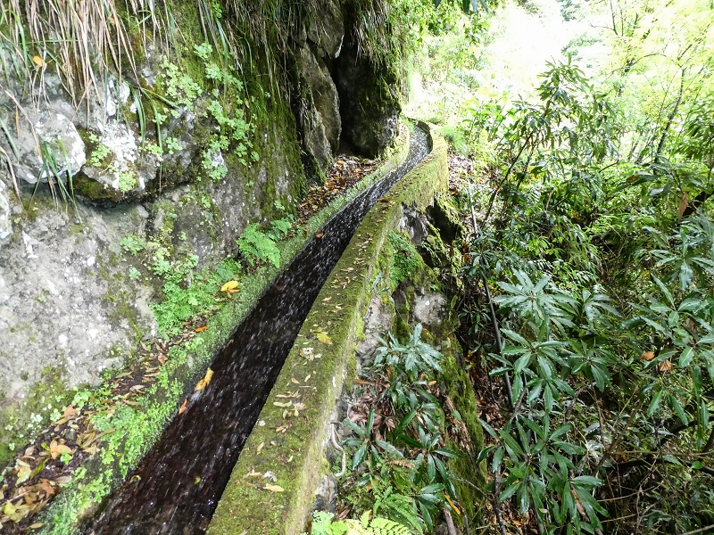 13.07.2018 Abschlusswanderung auf dem unglaublich grünen Unterlauf der Levada das Faias — Weiter etwas ausgesetzt zum dritten Niveauübergang — Foto 9