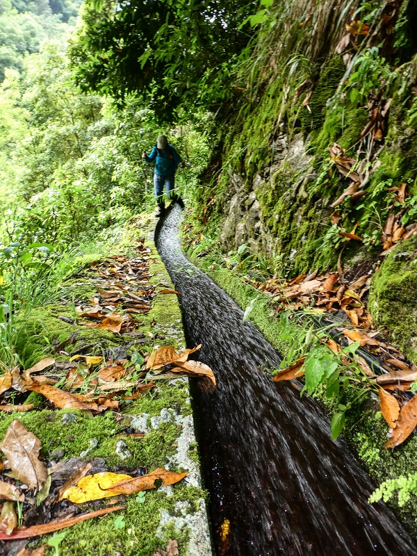 13.07.2018 Abschlusswanderung auf dem unglaublich grünen Unterlauf der Levada das Faias — Weiter etwas ausgesetzt zum dritten Niveauübergang — Foto 10