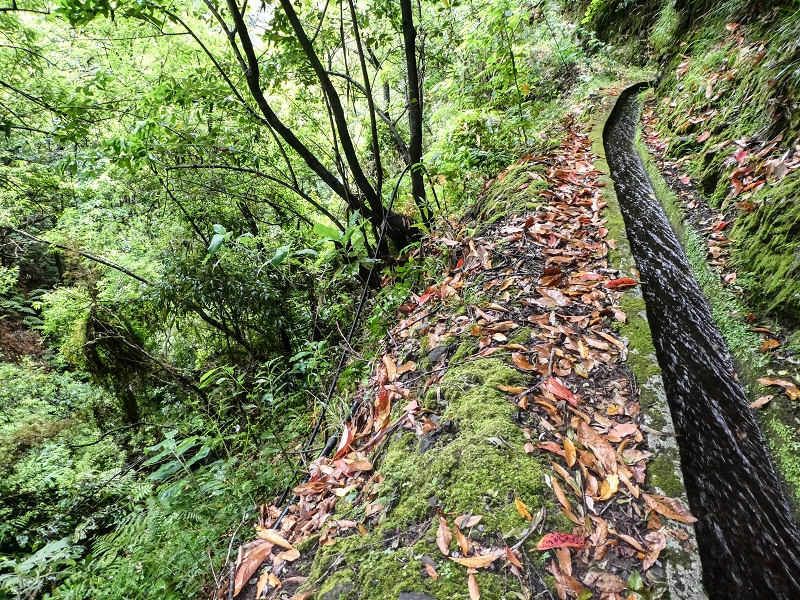 13.07.2018 Abschlusswanderung auf dem unglaublich grünen Unterlauf der Levada das Faias — Weiter etwas ausgesetzt zum dritten Niveauübergang — Foto 12