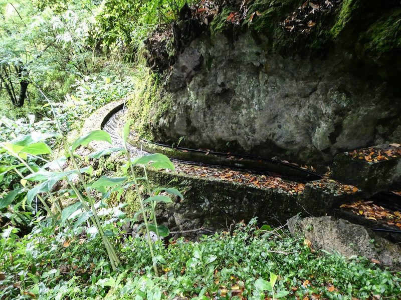 13.07.2018 Abschlusswanderung auf dem unglaublich grünen Unterlauf der Levada das Faias — Weiter etwas ausgesetzt zum dritten Niveauübergang — Foto 13