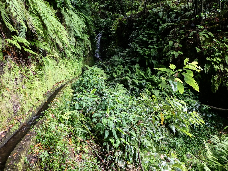 13.07.2018 Abschlusswanderung auf dem unglaublich grünen Unterlauf der Levada das Faias — Der zweite Niveauübergang — Foto 8