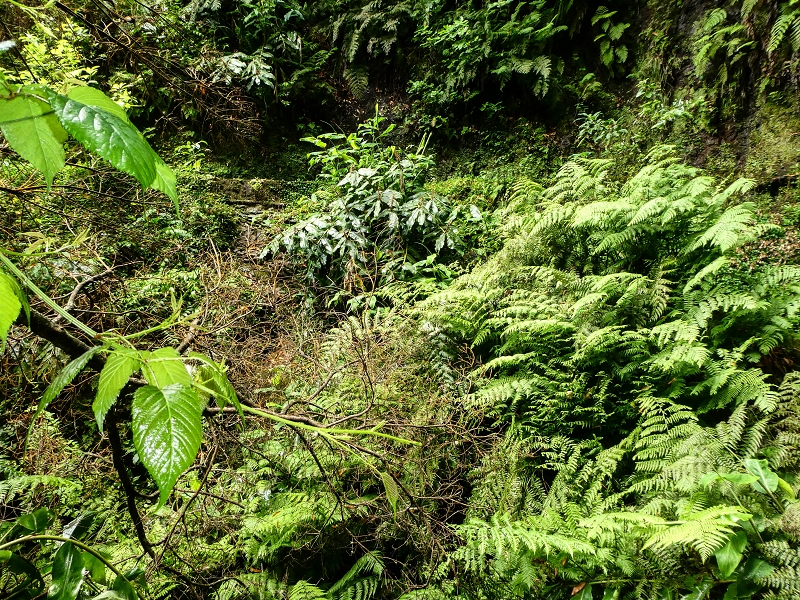 13.07.2018 Abschlusswanderung auf dem unglaublich grünen Unterlauf der Levada das Faias — Der zweite Niveauübergang — Foto 12