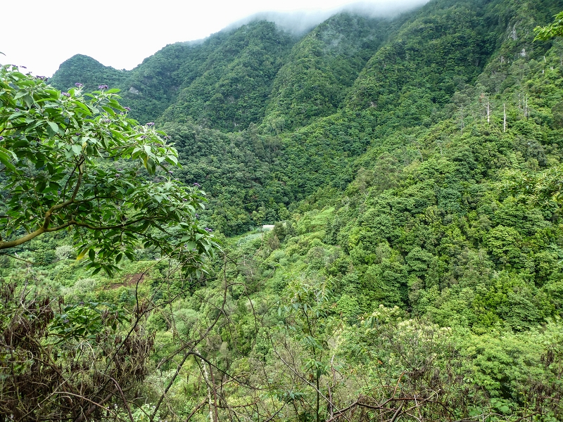 13.07.2018 Abschlusswanderung auf dem unglaublich grünen Unterlauf der Levada das Faias — Zurück zum Ausgangspunkt — Foto 2