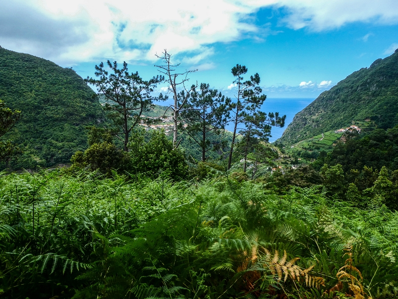 13.07.2018 Abschlusswanderung auf dem unglaublich grünen Unterlauf der Levada das Faias — Zurück zum Ausgangspunkt — Foto 4