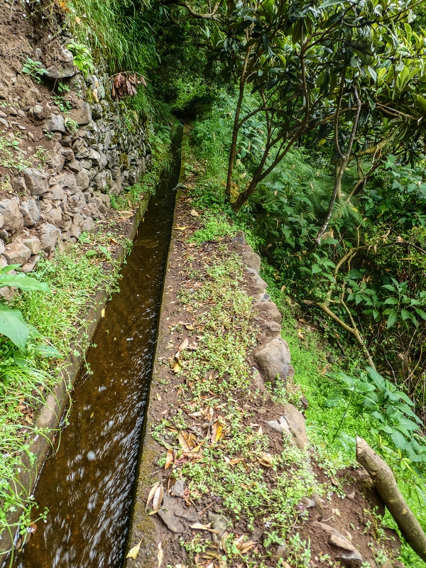 13.07.2018 Abschlusswanderung auf dem unglaublich grünen Unterlauf der Levada das Faias — Zurück zum Ausgangspunkt — Foto 6