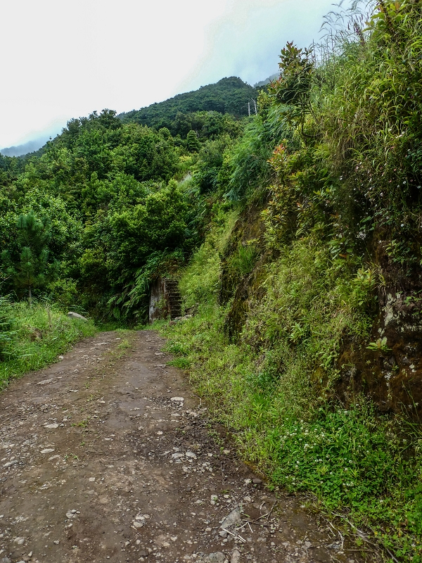 13.07.2018 Abschlusswanderung auf dem unglaublich grünen Unterlauf der Levada das Faias — Zurück zum Ausgangspunkt — Foto 9