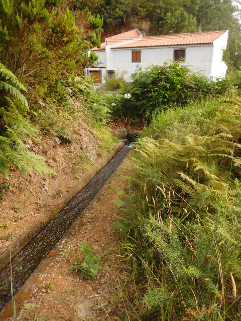 Levada do Cortado — Weiter bis zur Kreuzung mit der ER-213 — Foto 8
