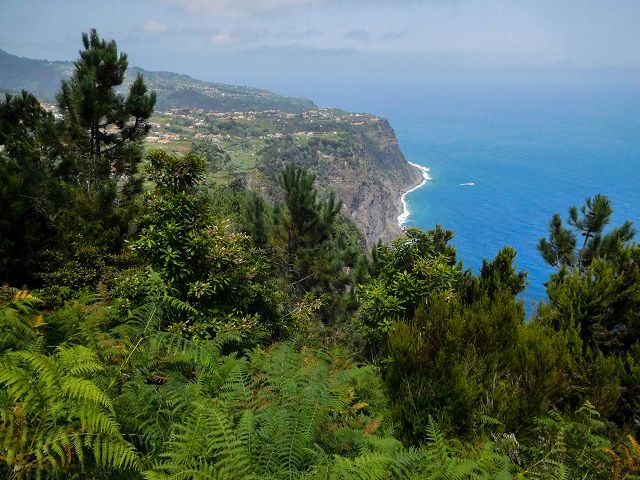 13 August 2017 Levada discoveries around Santana and a detour to Ponta do Clerigo — To Cortado and down to the main branch of the Levada do Cortado — photo 4