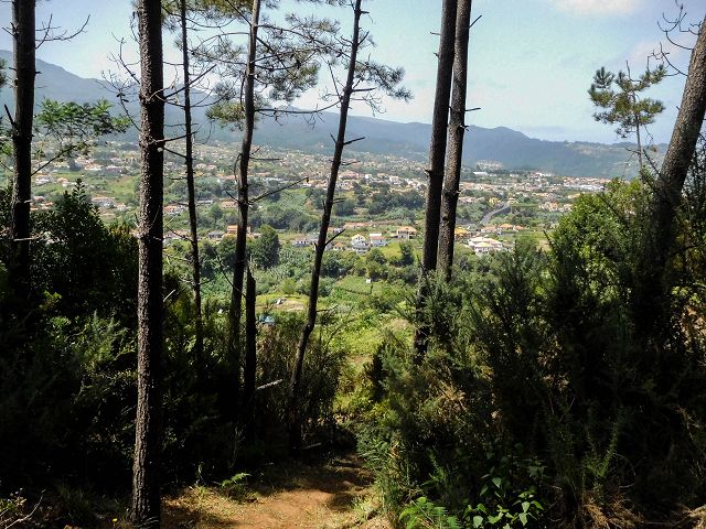13 August 2017 Levada discoveries around Santana and a detour to Ponta do Clerigo — To Cortado and down to the main branch of the Levada do Cortado — photo 8