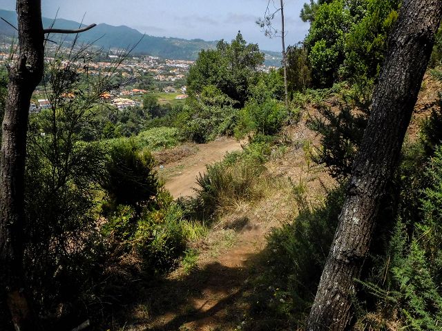 13 August 2017 Levada discoveries around Santana and a detour to Ponta do Clerigo — To Cortado and down to the main branch of the Levada do Cortado — photo 9