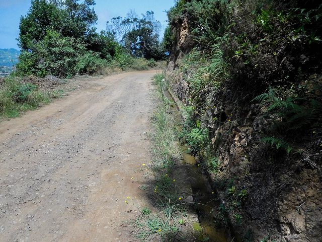 Levada do Cortado — Der Hauptast — Foto 2
