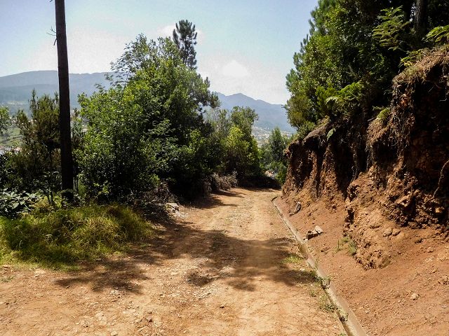 Levada do Cortado — Der Hauptast — Foto 3