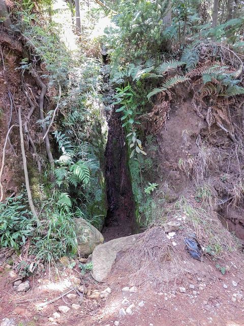 Levada do Cortado — Der Hauptast — Foto 5