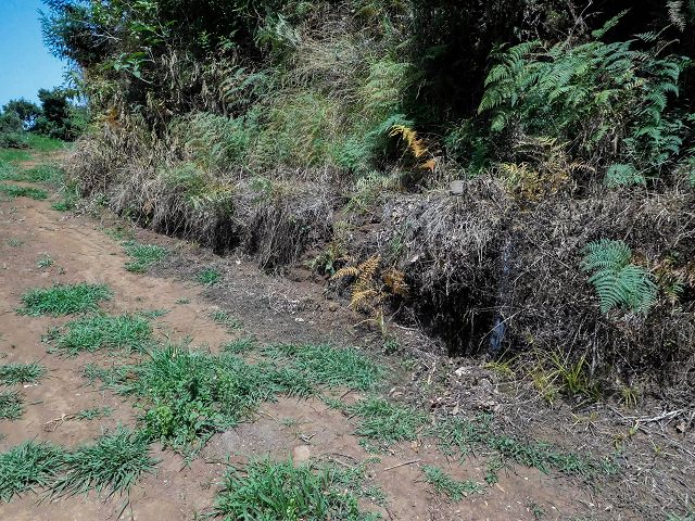 Levada do Rochao — Strassenquerung und im Wald und oberhalb der Felder bis zum Ende — Foto 14