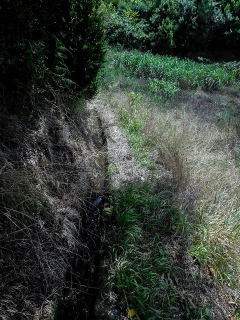 13 August 2017 Levada discoveries around Santana and a detour to Ponta do Clerigo — On the Levada do Rochao from the present end to the Madre — photo 6