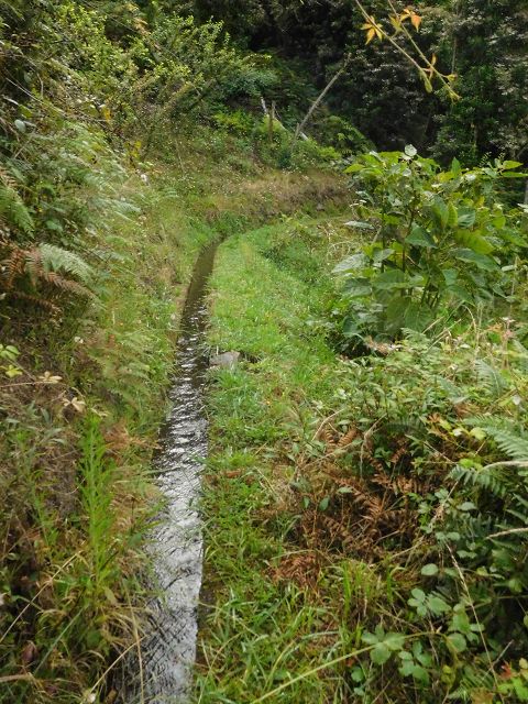 13 August 2017 Levada discoveries around Santana and a detour to Ponta do Clerigo — From Cortado to the Madre of the Levada do Cortado and back to the crossing with the ER-213 — photo 12