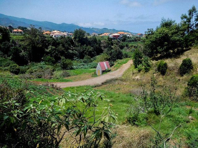 Levada do Rochao — Strassenquerung und im Wald und oberhalb der Felder bis zum Ende — Foto 11