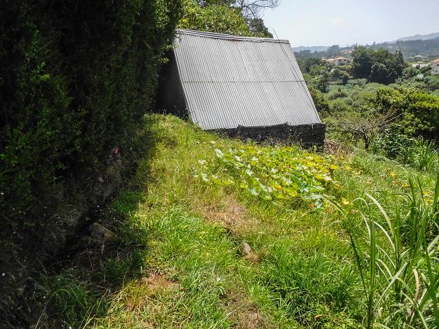 Levada do Rochao — Strassenquerung und im Wald und oberhalb der Felder bis zum Ende — Foto 9
