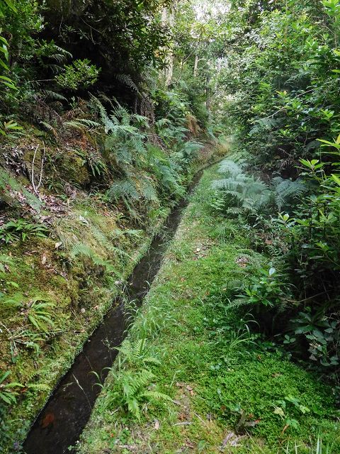 13 August 2017 Levada discoveries around Santana and a detour to Ponta do Clerigo — From Cortado to the Madre of the Levada do Cortado and back to the crossing with the ER-213 — photo 13