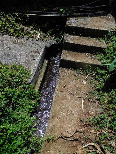 Levada do Rochao — Strassenquerung und im Wald und oberhalb der Felder bis zum Ende — Foto 2