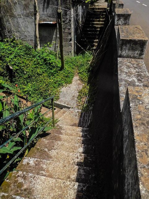 Levada do Rochao — Strassenquerung und im Wald und oberhalb der Felder bis zum Ende — Foto 1