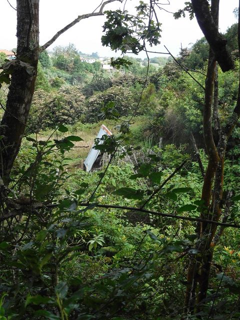 13 August 2017 Levada discoveries around Santana and a detour to Ponta do Clerigo — From Cortado to the Madre of the Levada do Cortado and back to the crossing with the ER-213 — photo 14