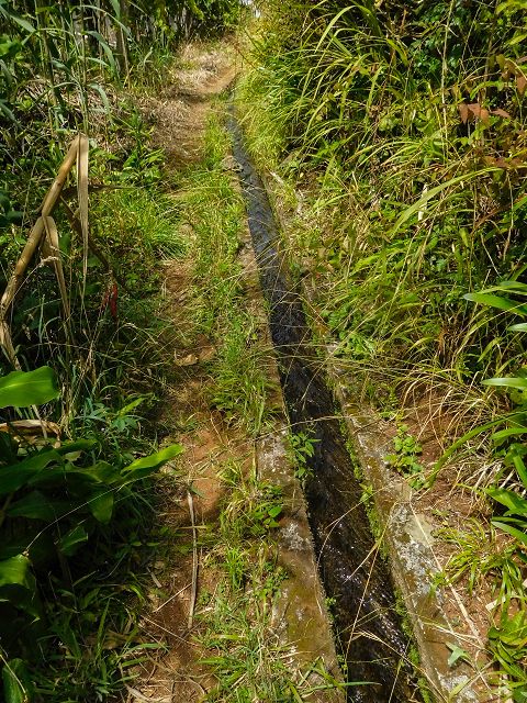 13 August 2017 Levada discoveries around Santana and a detour to Ponta do Clerigo — Short detour onto the Levada de Santo Antonio — photo 1