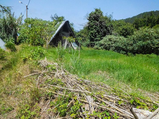 13 August 2017 Levada discoveries around Santana and a detour to Ponta do Clerigo — Short detour onto the Levada de Santo Antonio — photo 3