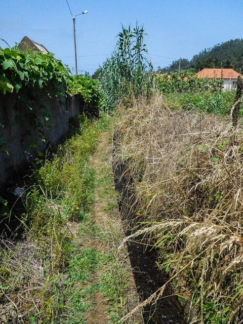13 August 2017 Levada discoveries around Santana and a detour to Ponta do Clerigo — Short detour onto the Levada de Santo Antonio — photo 4