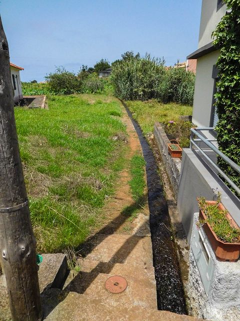 13 August 2017 Levada discoveries around Santana and a detour to Ponta do Clerigo — Short detour onto the Levada de Santo Antonio — photo 6