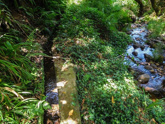 13 August 2017 Levada discoveries around Santana and a detour to Ponta do Clerigo — Descent from the Estrada de Santo Antonio to the Levada de Santo Antonio inf. 1, to the Madre and to the end — photo 1